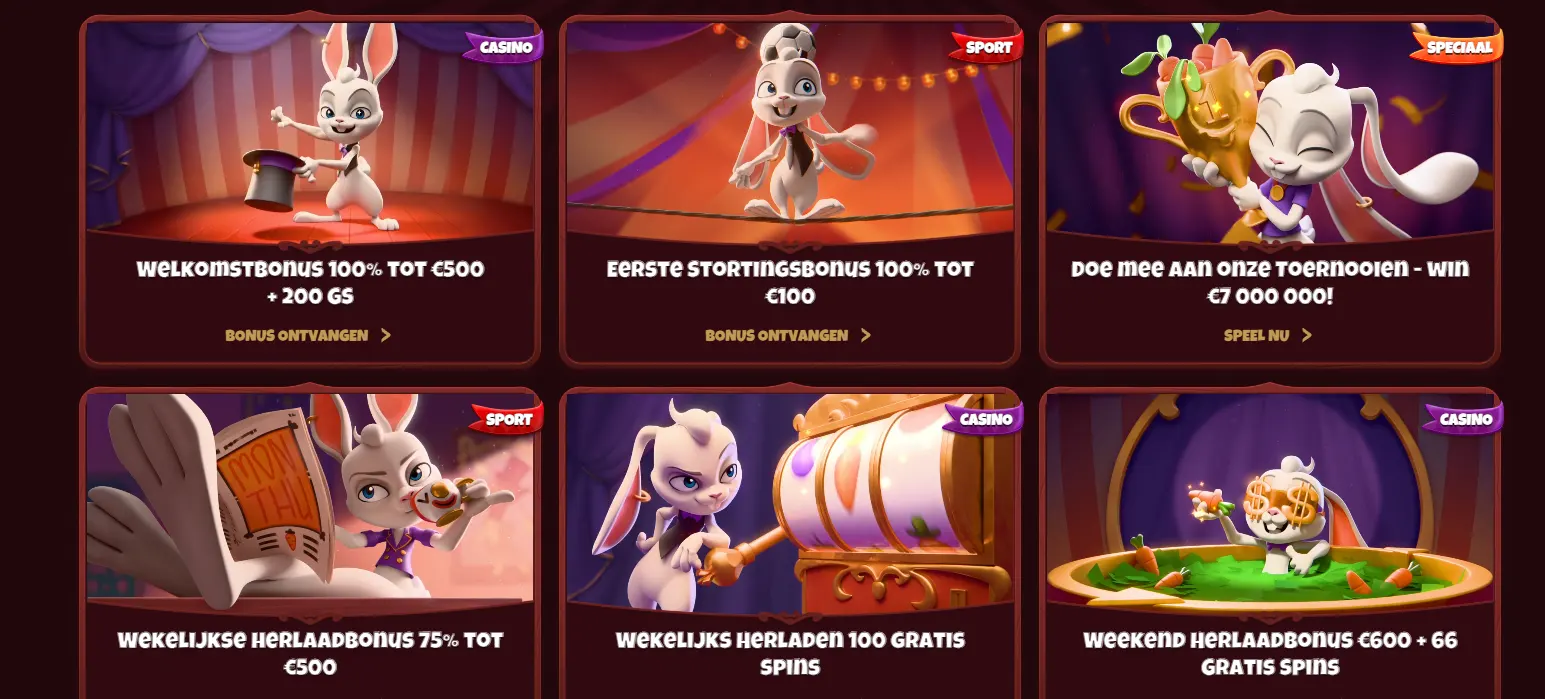 magius casino bonussen
